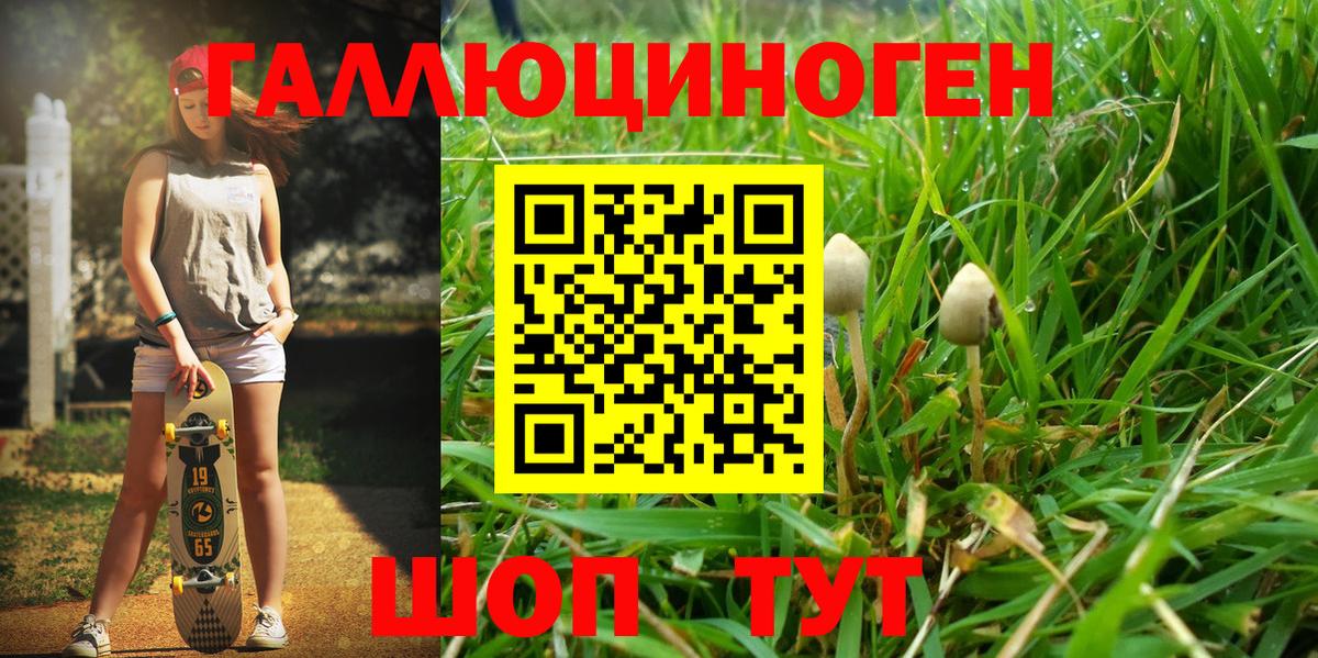 Полысаево  Галлюциногенные грибы Magic Shrooms  Галлюциногенные грибы GOLDEN TEACHER  Вход с VPN 